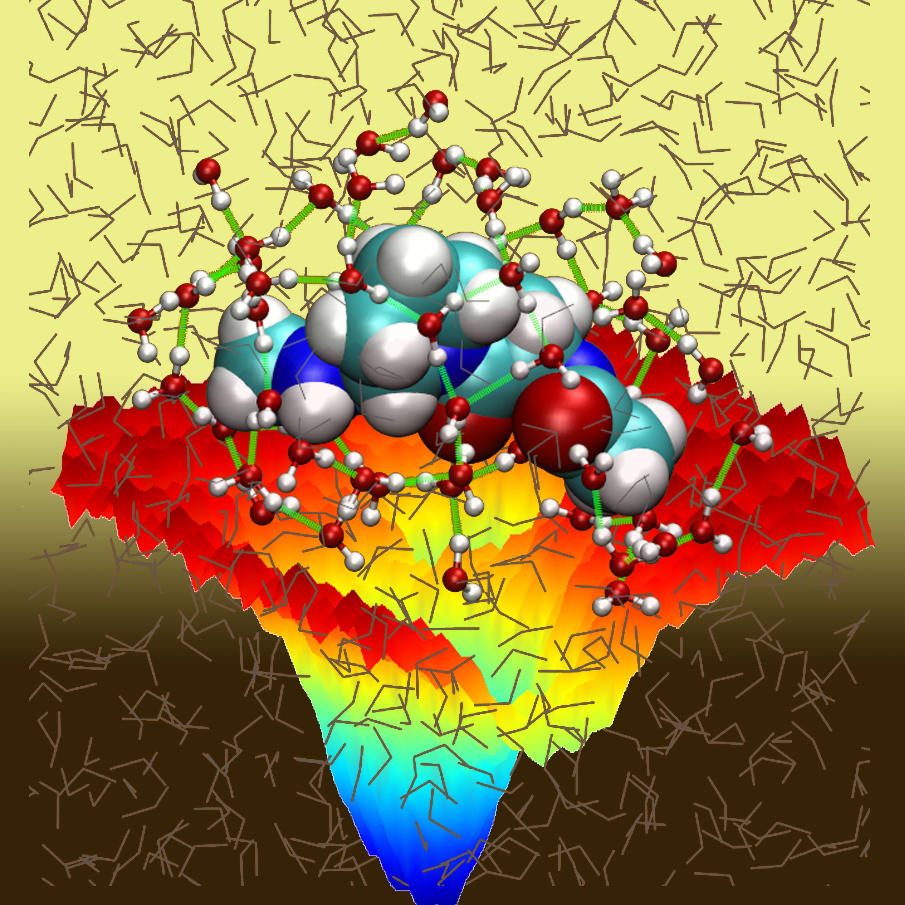 Hydrogen bond network of the first shell of surrounding water molecules that form a cage-like structure around a peptide,manifesting itself as additional roughness on the underlying energy landscape. Johnson Q., Doshi U., Shen T., Hamelberg D., (2010) 6, 2591–2597.